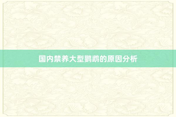 国内禁养大型鹦鹉的原因分析