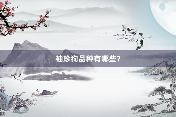 袖珍狗品种有哪些？