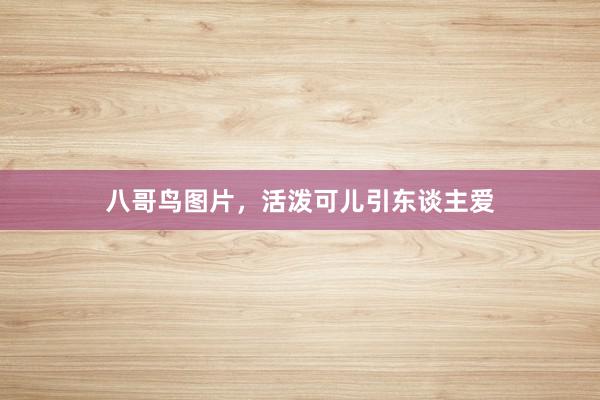 八哥鸟图片，活泼可儿引东谈主爱